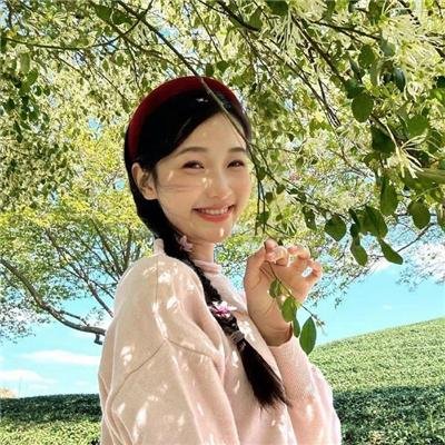 山火 海报